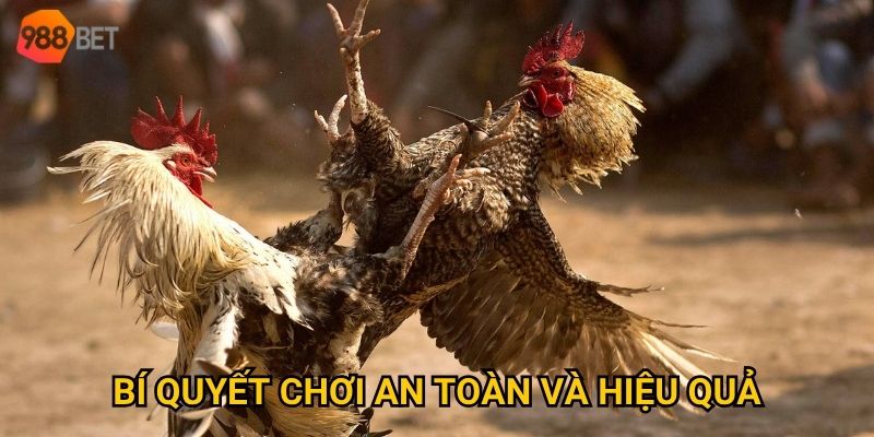 Bí quyết chơi an toàn và hiệu quả